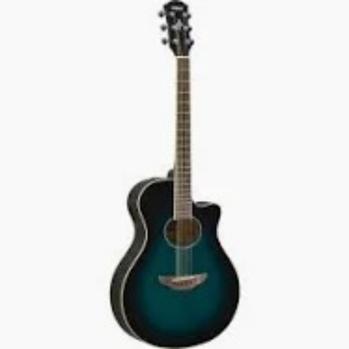 Acoustic Guitar