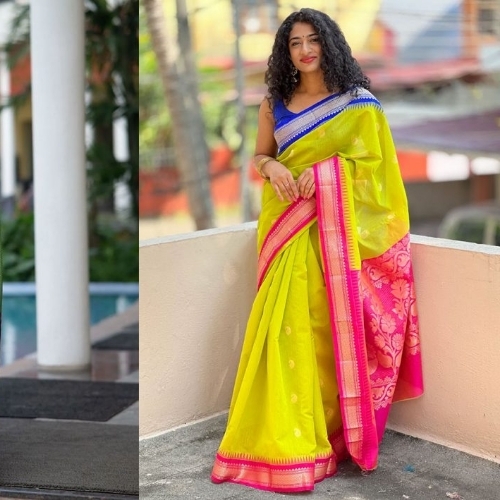 Gadwal Sarees By Kristi Art