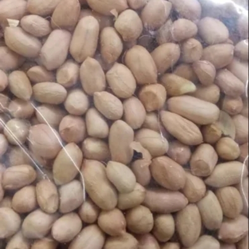 Groundnut Seed