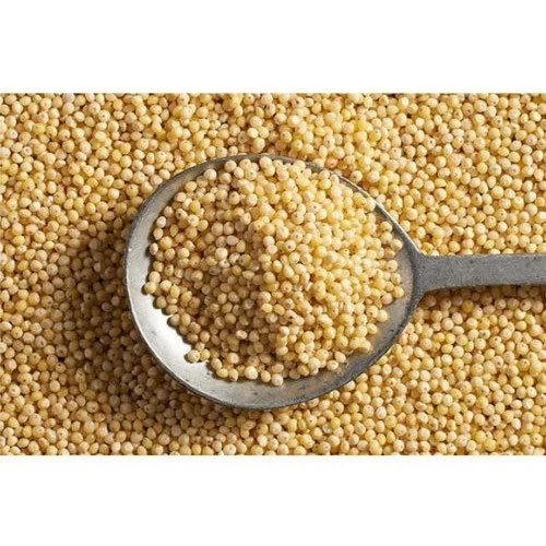 Millet Seeds