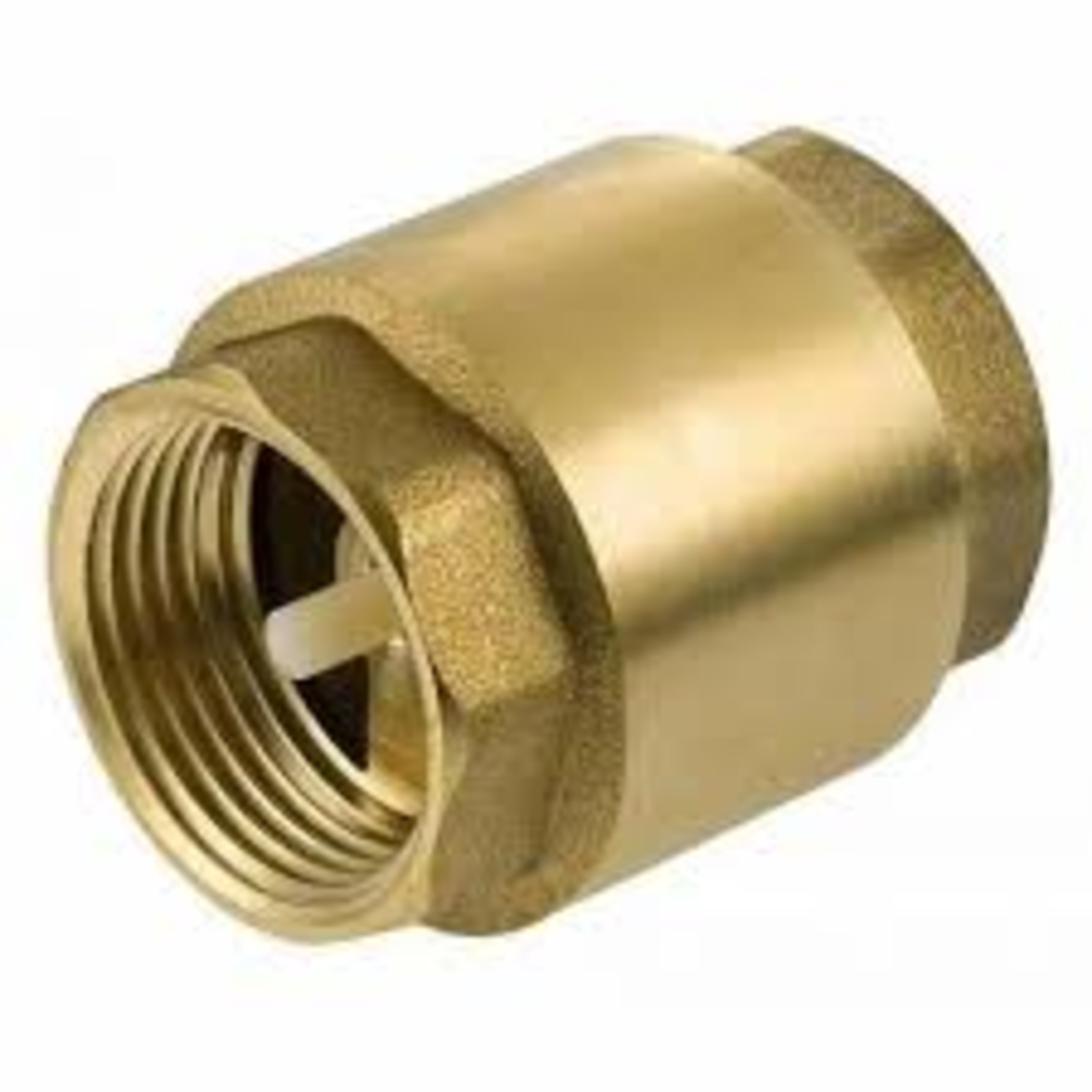 Check Valve