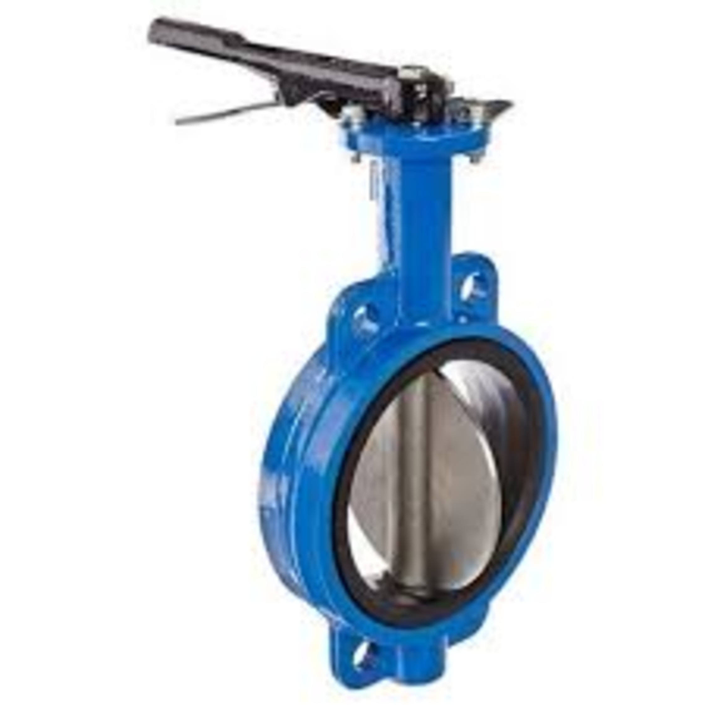 Ci Nvr Butterfly Valve