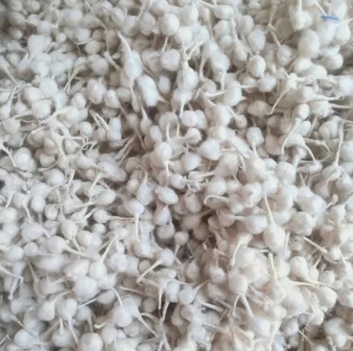 Comber Cotton Wicks