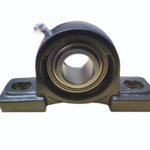 Cast Iron Pillow Block Bearing