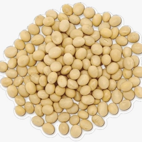 Fresh Soya Bean
