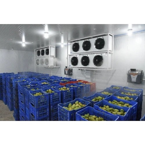 Mango Ripening chamber