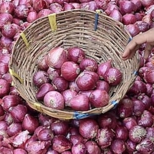 Red Onion
