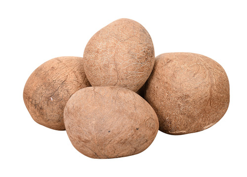 Dry Coconut Copra
