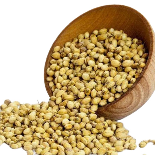 Organic Coriander