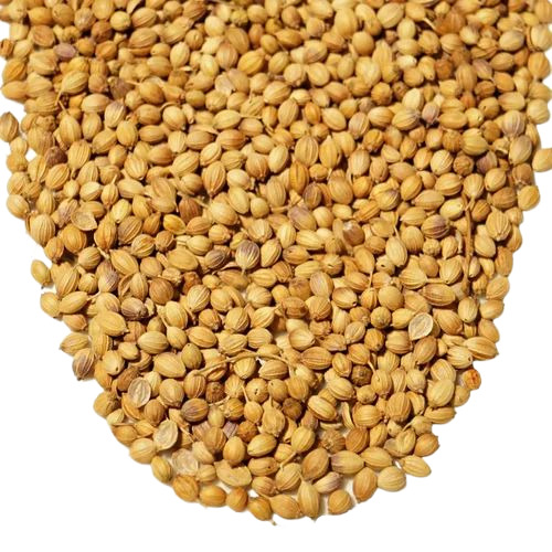 Organic Fresh Coriander