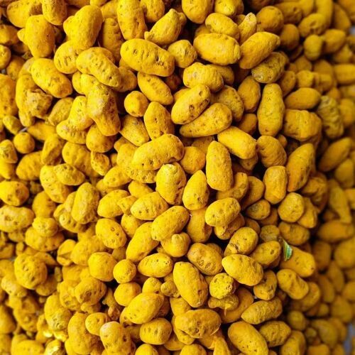 Salem Turmeric Bulb