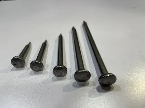 Roofing Nails