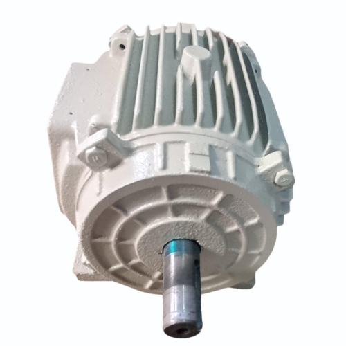 Three Phase Industrial Motor
