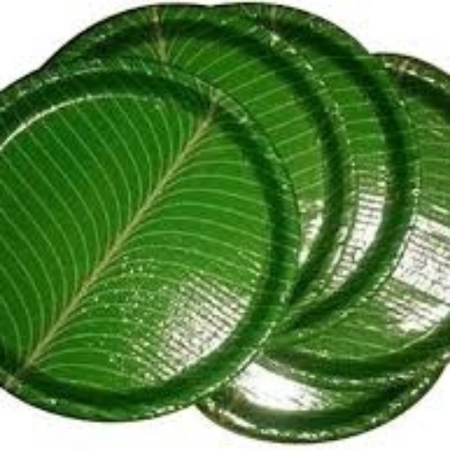 10 Inch Disposable Plates