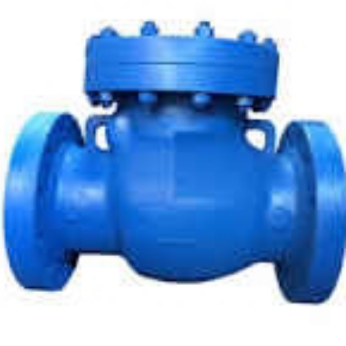 Blue Swing Check Valve