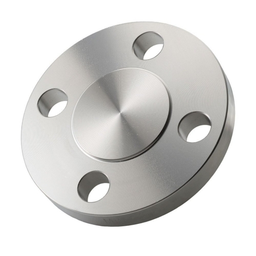Stainless Steel Blind Flange