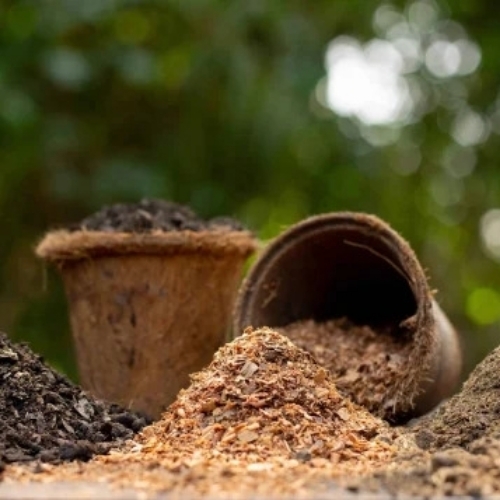 bone vermicompost manure