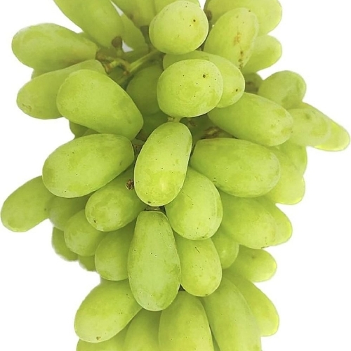 Green Grapes