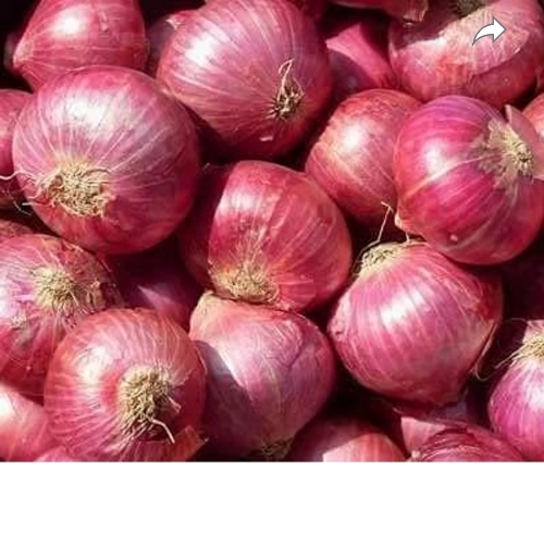 Fresh Onion