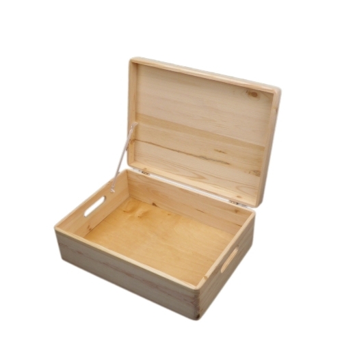 Pin storage box