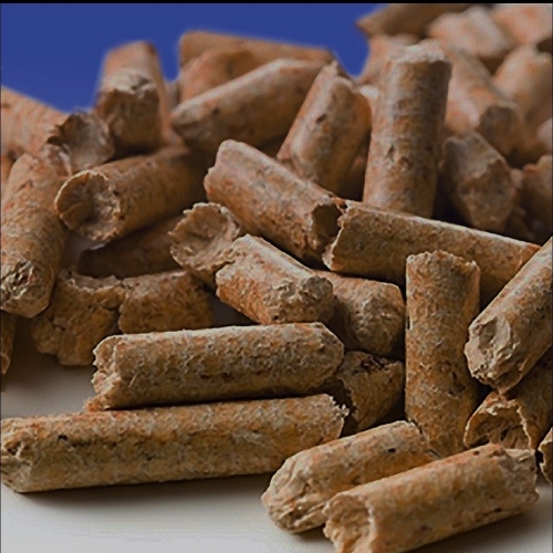 Biomass Pellet