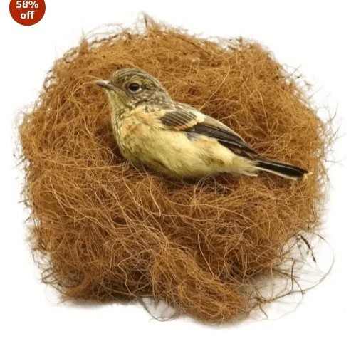 Coir Fiber