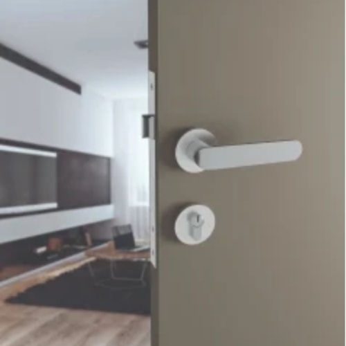 Golden Mortise Door Handle