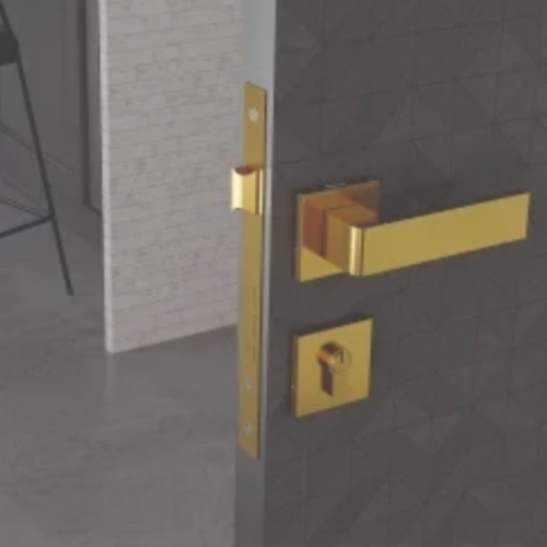 Mortise Door Handle