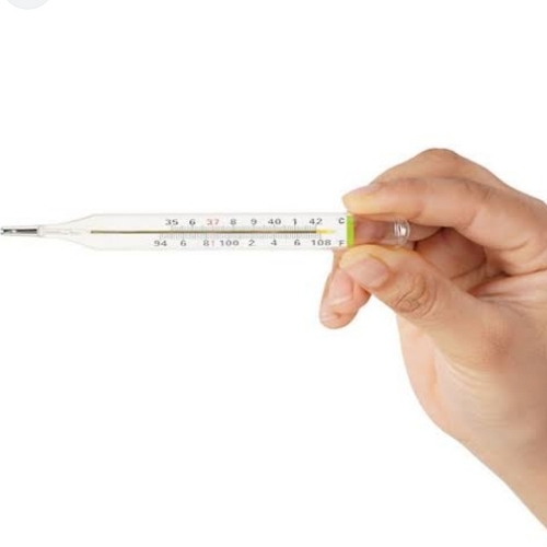 Oval Thermometer