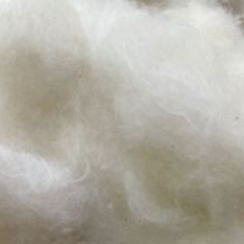 Row Cotton White