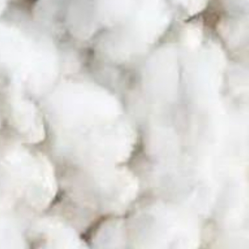 White Cotton