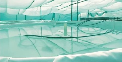 10000 L HDPE Fish Farming