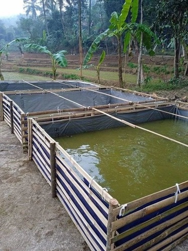 Fish Farming Tank