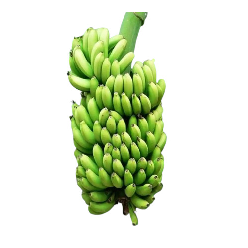Fresh Banana