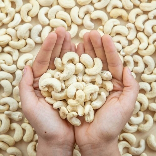Fresh Cashews Nuts