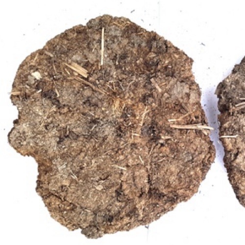 Natural Cow dung Manure