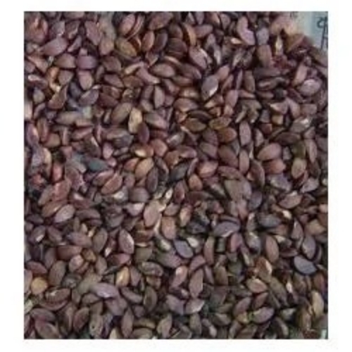 Neem Seed