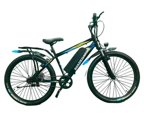 Roadkiller Eco Electric Cycle