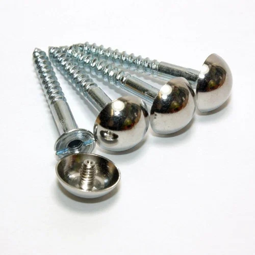 SS Mirror Screw