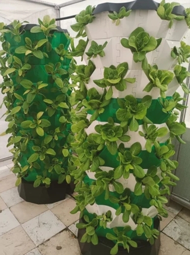 88 Plant Aeroponic Tower