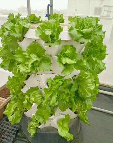 Aeroponics Tower System