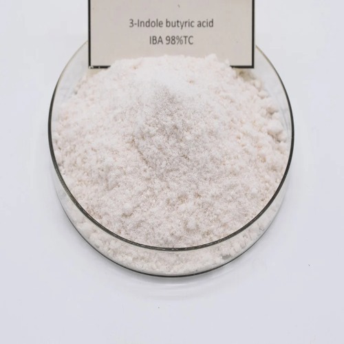 Indole-3-Butyric Acid ( IBA )