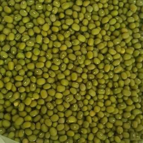 Green Mung Beans - Crop Year: 2025 Months