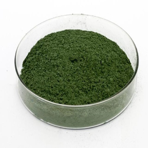 Metarhizium Anisopliae 1.0 % W.P