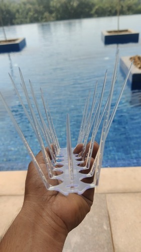 Polycarbonate Bird Spikes, For Buildings, Size: 12 Inches