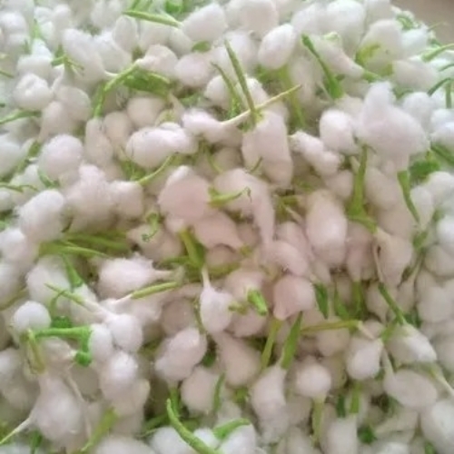 Green Tip Cotton Wicks