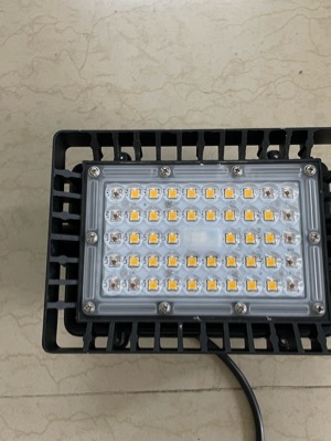 LED Flood Light