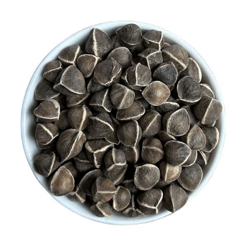 Moringa Seeds