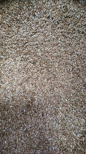 Natural Flax Seed - Grade: A