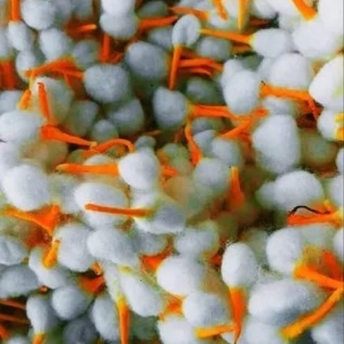 Orange Tip Round Cotton Wick